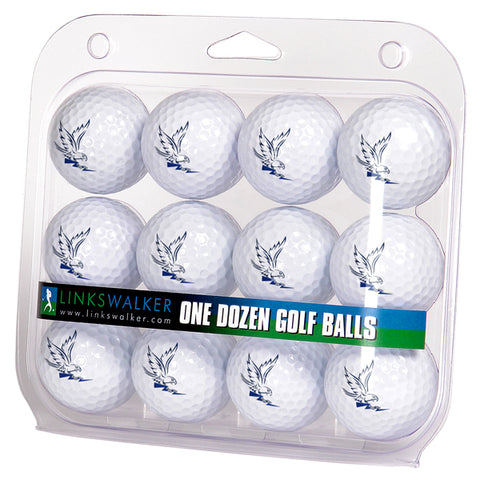 Air Force Falcons Golf Balls 1 Dozen 2-Piece Regulation Size Balls